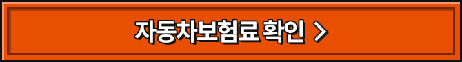 자동차보험료 확인