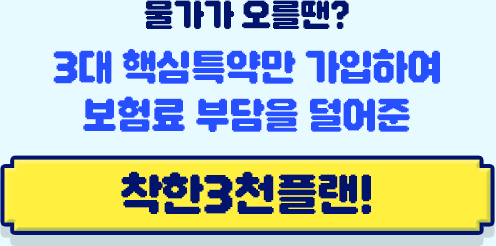 물가가 오를땐? 3대 핵심특약만 가입하여 보험료 부담을 덜어준 착한3천플랜!