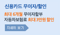 신용카드 무이자/할부 2~6개월 무이자할부 자동차보험료 최대3만원할인 자세히 보기