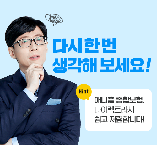 다시 한번 생각해 보세요! Hint 애니홈 종합보험, 다이렉트라서 쉽고 저렴합니다!