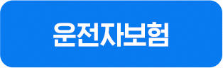 운전자보험