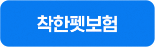 착한펫보험