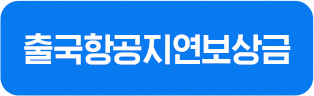 출국항공지연보상금