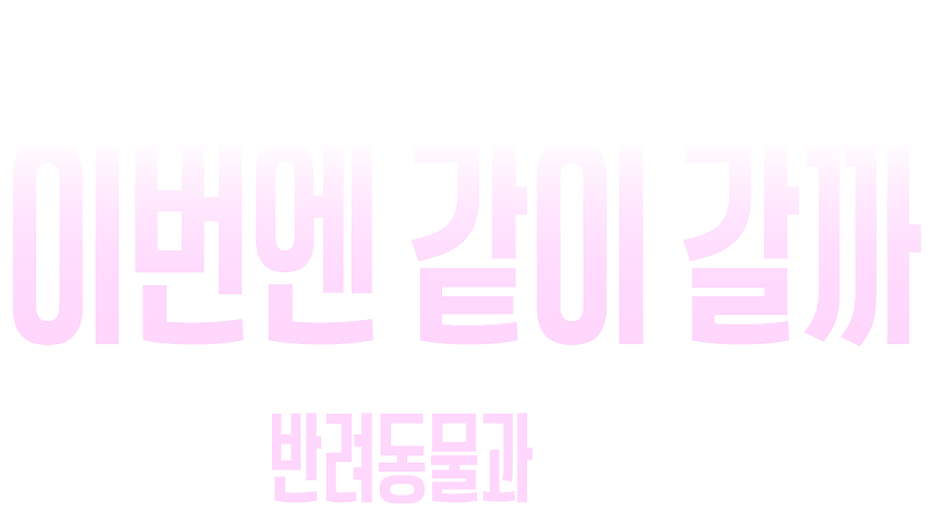 착한.해외.여행 ep2 이번엔 반려동물과 같이 갈까