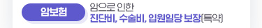 암보험