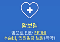 암보험